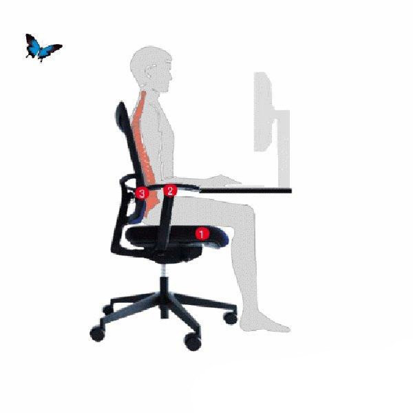 Köhl Anteo ergonomische gesunde Sitzhaltung Erläuterung